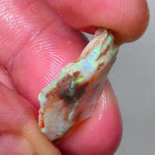 Colours popping 360 on this Crystal Seam opal rough of Lighting Ridge 6.50cts Bright Green/blue fires in nice bar to cut 24x15x5mm  Lot B4-A570