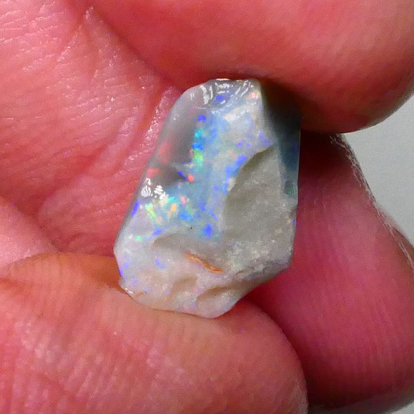 Gorgeous Rainbow bar with Reds 2.15cts Small size Lightning Ridge Dark Base Seam opal rough to gamble cut 13x8x3mm Lot B4-A569