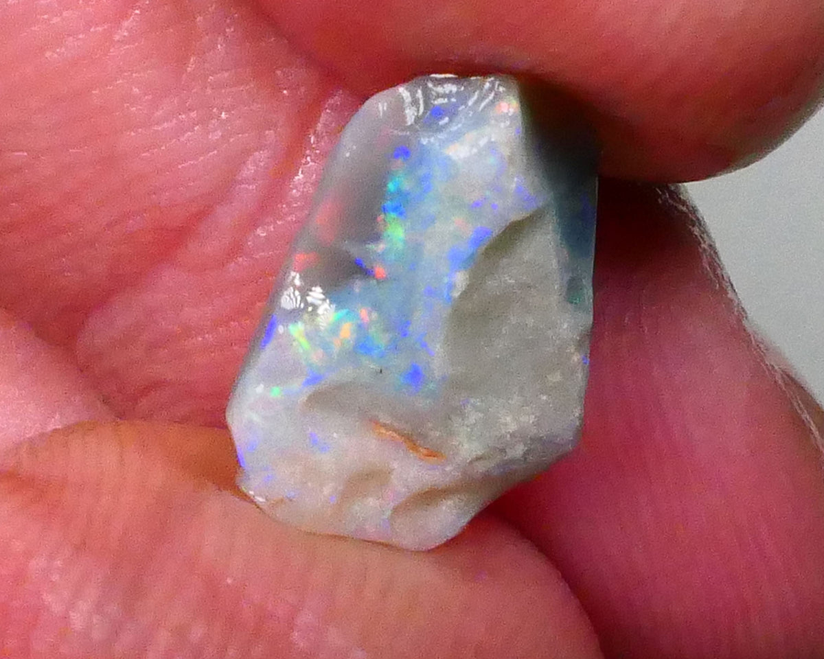 Gorgeous Rainbow bar with Reds 2.15cts Small size Lightning Ridge Dark Base Seam opal rough to gamble cut 13x8x3mm Lot B4-A569
