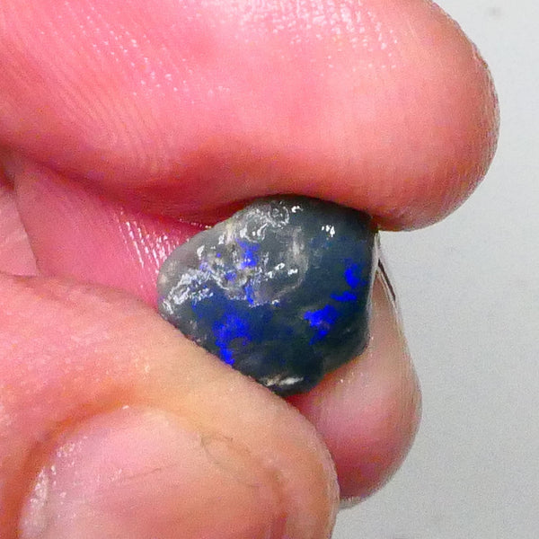 Bright Deep Blues showing through top Skin 2.75cts Untouched small Dark base knobby opal rough 11x9x5mm Lot B4-A568