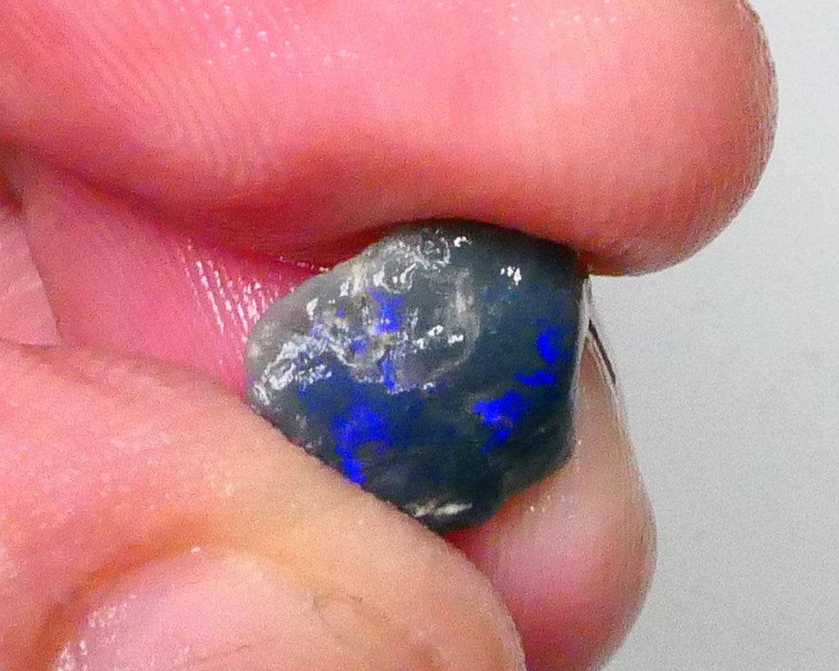 Bright Deep Blues showing through top Skin 2.75cts Untouched small Dark base knobby opal rough 11x9x5mm Lot B4-A568