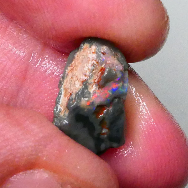 RED Alert Pea knobby on fire 5.00cts Dark base Lightning ridge Material to gamble 16x10x6mm  Lot B4-A567