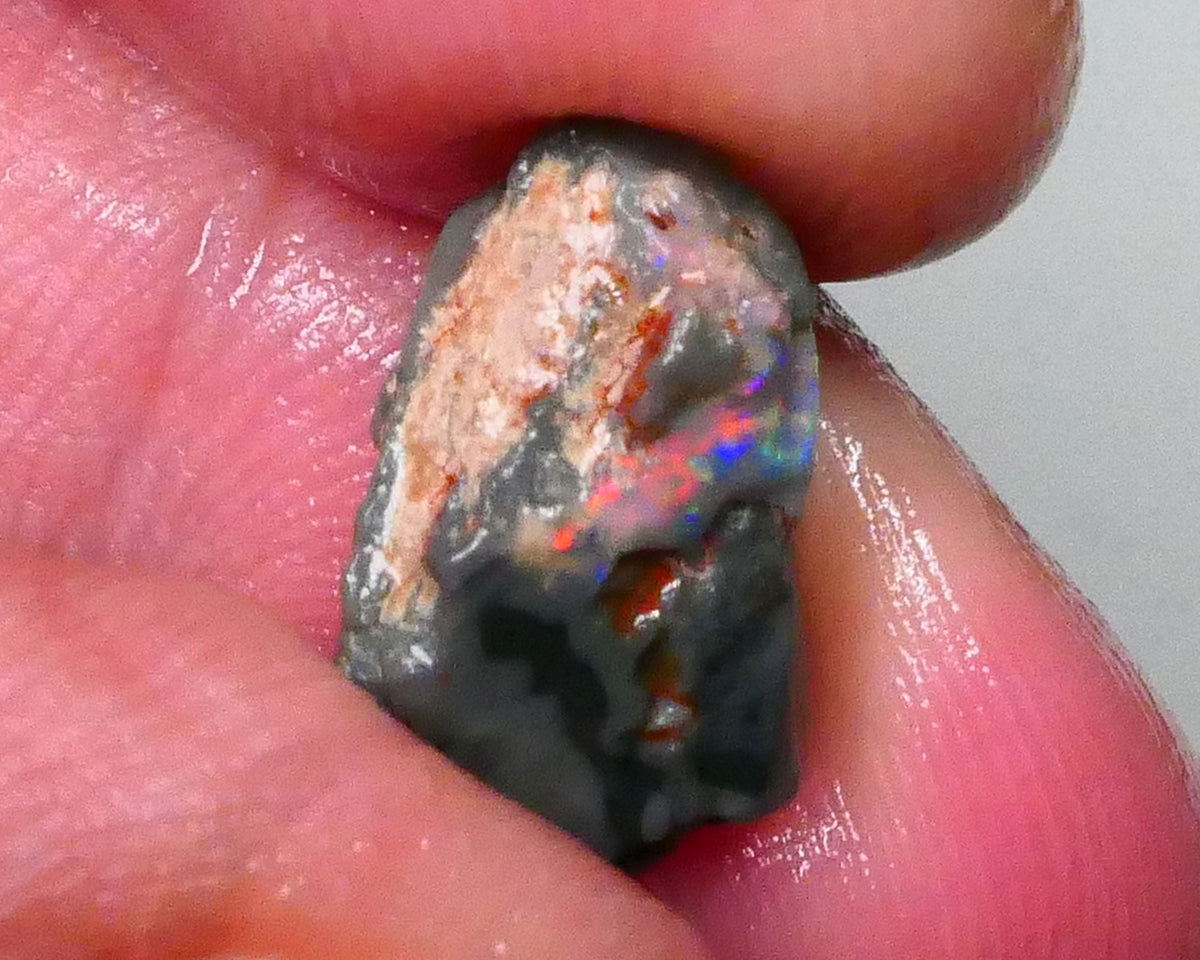 RED Alert Pea knobby on fire 5.00cts Dark base Lightning ridge Material to gamble 16x10x6mm  Lot B4-A567