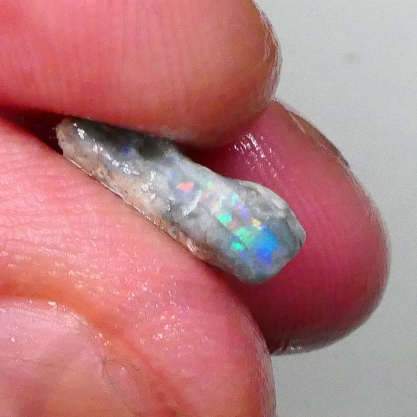 Gorgeous little rough opal 3.00cts with stunning small area of gorgeous Multicolour bar inc REDS Lighting Ridge 13x12x4mm Lot B4-A566