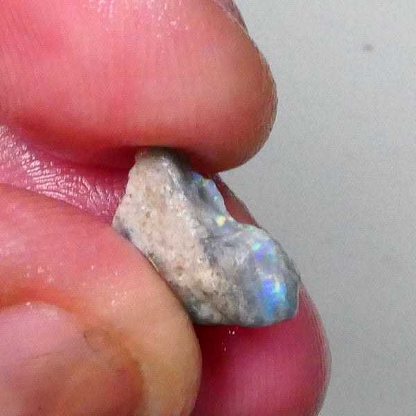 Gorgeous little rough opal 3.00cts with stunning small area of gorgeous Multicolour bar inc REDS Lighting Ridge 13x12x4mm Lot B4-A566