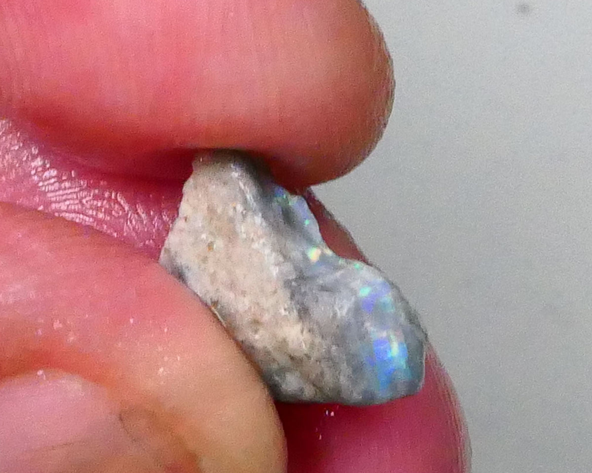 Gorgeous little rough opal 3.00cts with stunning small area of gorgeous Multicolour bar inc REDS Lighting Ridge 13x12x4mm Lot B4-A566