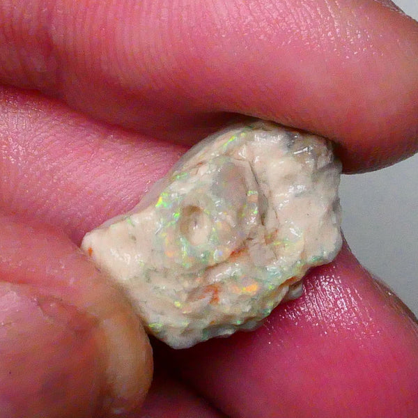 yellow/blue/green Multifires on this 8.50cts Lightning Ridge knobby opal formation rough 20x12x7mm Lot B4-A565