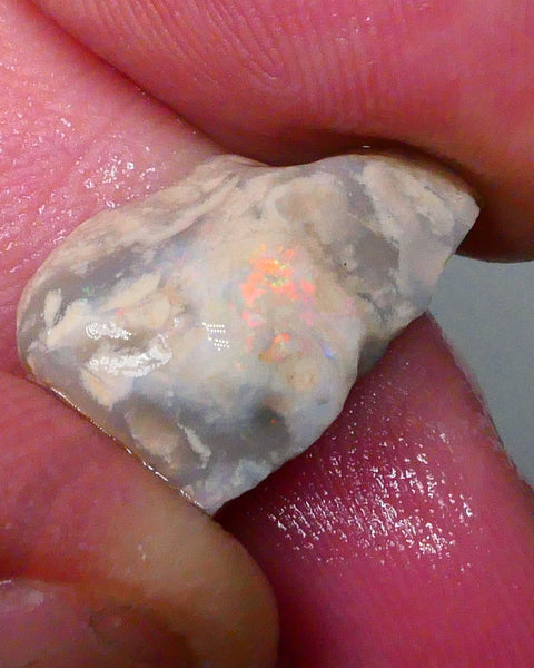 Orange & Red tones of fires presenting through the skin ? 7.90cts Knobby to gamble or not to gamble that is the question 19x12x7mm  Lot B4-A564