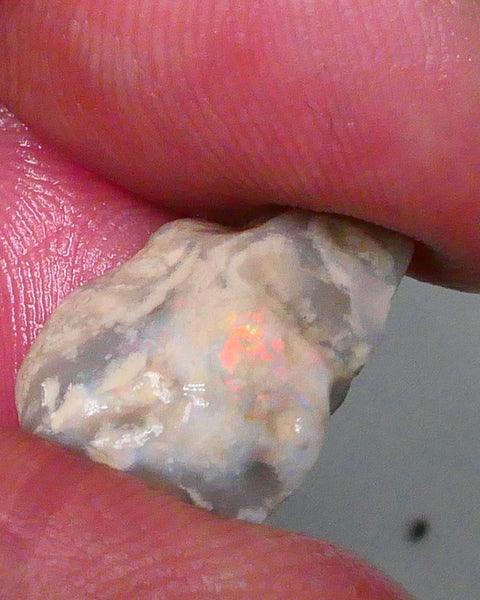 Orange & Red tones of fires presenting through the skin ? 7.90cts Knobby to gamble or not to gamble that is the question 19x12x7mm  Lot B4-A564