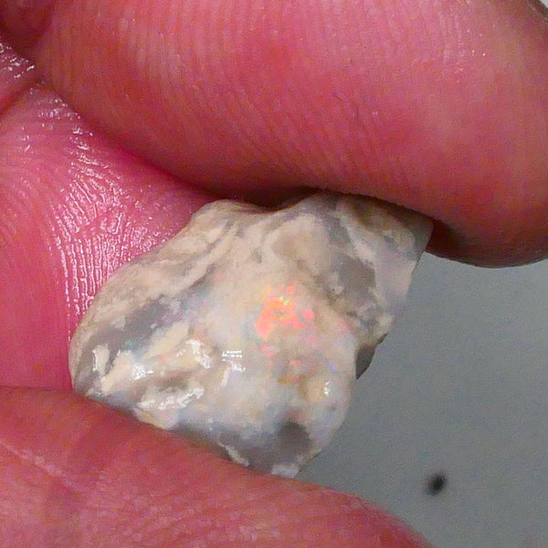 Orange & Red tones of fires presenting through the skin ? 7.90cts Knobby to gamble or not to gamble that is the question 19x12x7mm  Lot B4-A564