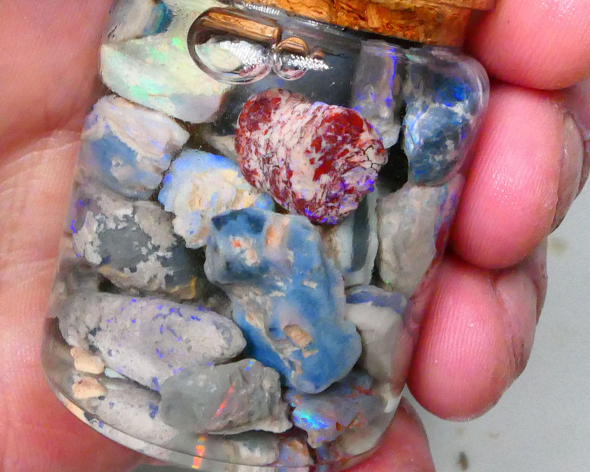 Lighting Ridge Knobby Seam & fossil 147cts Potch & Lots of colours/Multicolours 25mm to chip size  Lot B4-A561