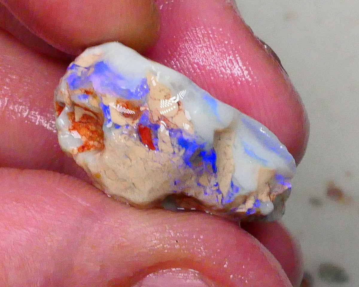 Knobby opal formation rough of Lighting Ridge 23.00cts Bright Blues in bar visible 360 but clay/sand host to work around 25x14x13mm  Lot B4-A580
