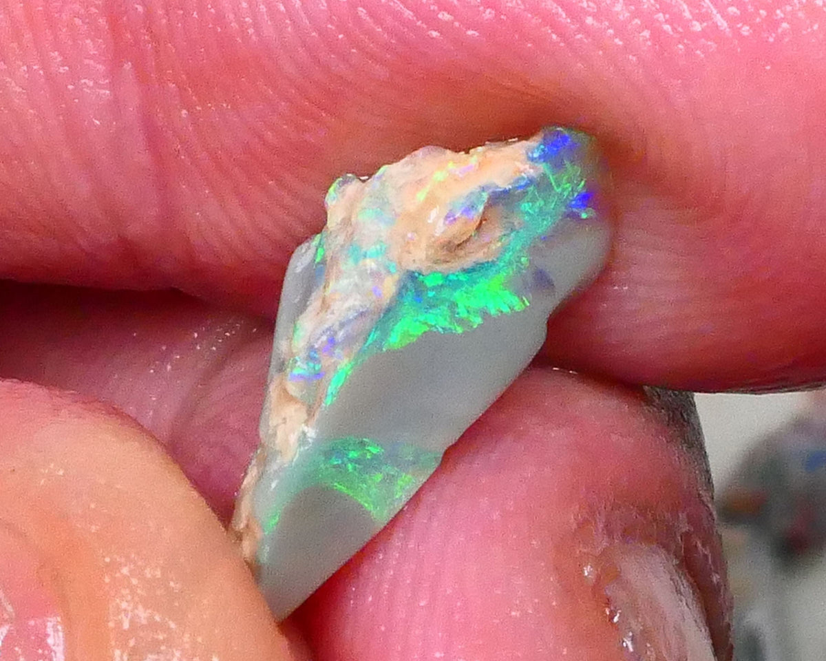 Lightning Ridge Dark Base Seam opal rough 2.90cts Bright Greens & blues expose to chase & Polish 16x8x7mm Lot B4-A579