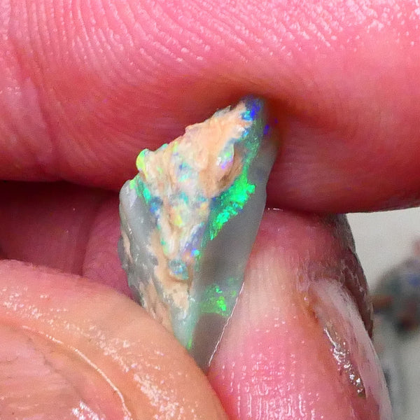 Lightning Ridge Dark Base Seam opal rough 2.90cts Bright Greens & blues expose to chase & Polish 16x8x7mm Lot B4-A579