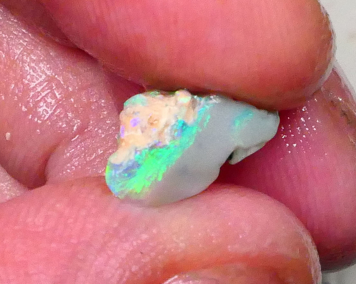 Lightning Ridge Dark Base Seam opal rough 2.90cts Bright Greens & blues expose to chase & Polish 16x8x7mm Lot B4-A579