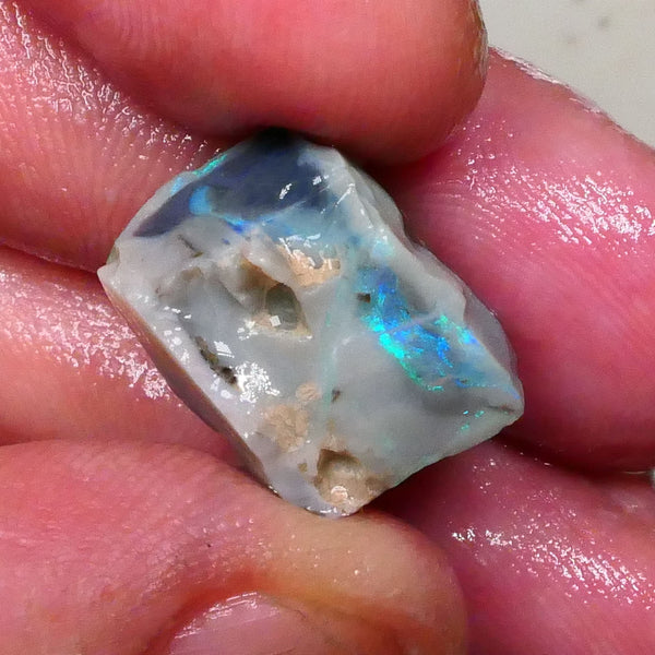 Aqua/Teal/Green/Blue on Dark seam opal rough 17.00cts Bar shows on 2 sides & through top skin but what's inside ? Lightning Ridge cutters Gamble  16x13x11mm Lot B4-A578