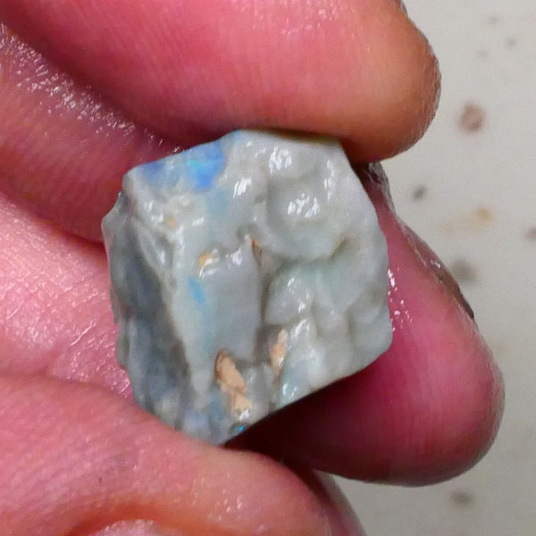 Aqua/Teal/Green/Blue on Dark seam opal rough 17.00cts Bar shows on 2 sides & through top skin but what's inside ? Lightning Ridge cutters Gamble  16x13x11mm Lot B4-A578