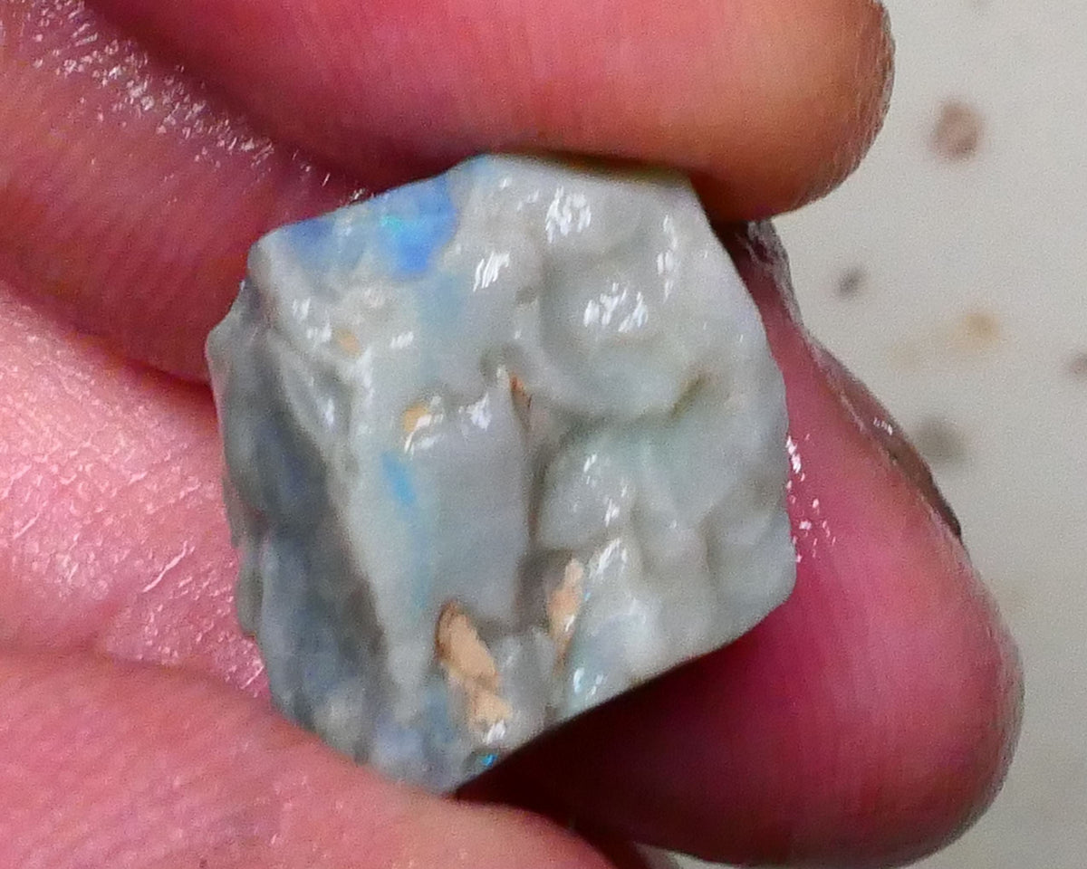 Aqua/Teal/Green/Blue on Dark seam opal rough 17.00cts Bar shows on 2 sides & through top skin but what's inside ? Lightning Ridge cutters Gamble  16x13x11mm Lot B4-A578
