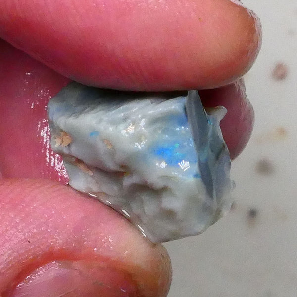 Aqua/Teal/Green/Blue on Dark seam opal rough 17.00cts Bar shows on 2 sides & through top skin but what's inside ? Lightning Ridge cutters Gamble  16x13x11mm Lot B4-A578