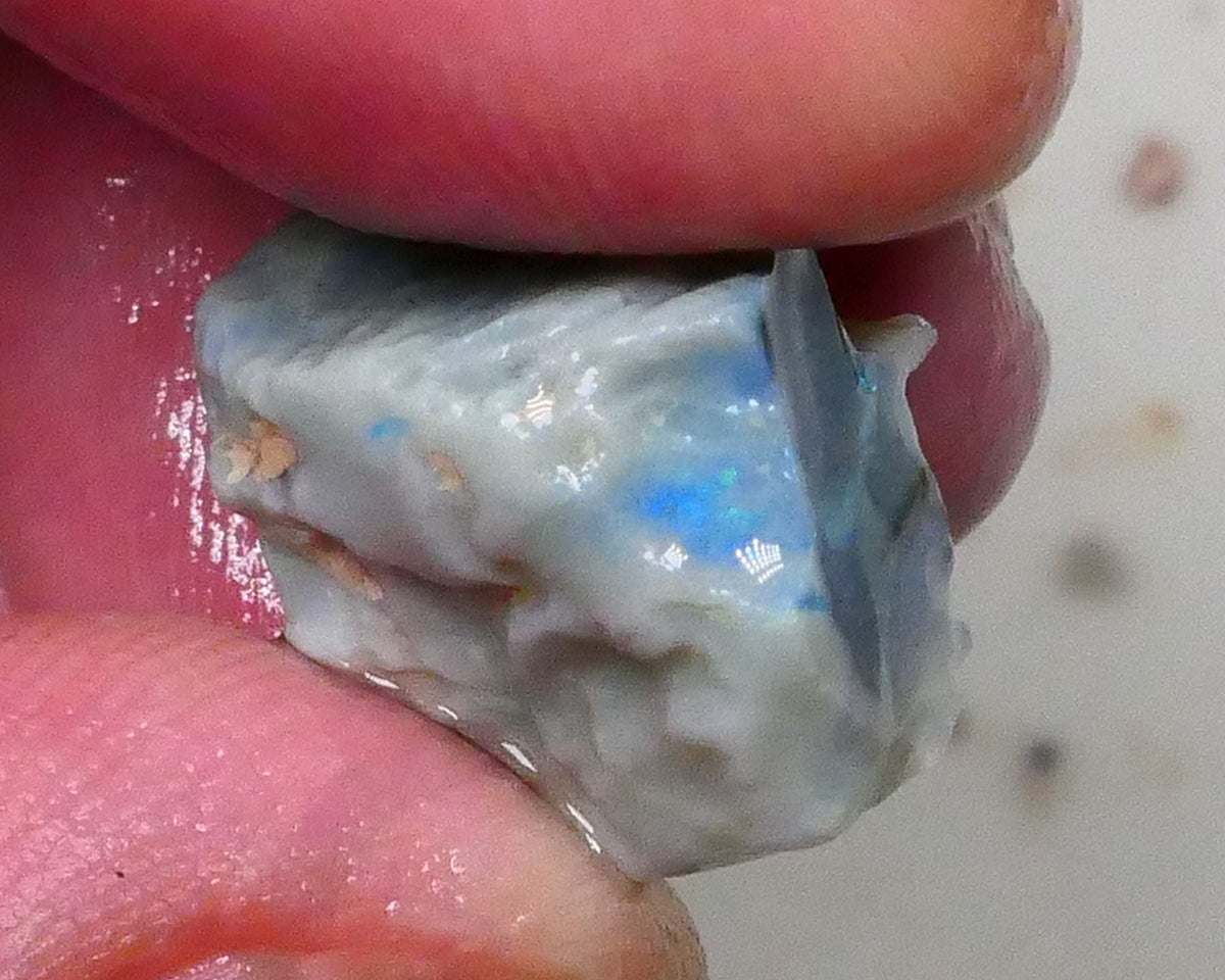 Aqua/Teal/Green/Blue on Dark seam opal rough 17.00cts Bar shows on 2 sides & through top skin but what's inside ? Lightning Ridge cutters Gamble  16x13x11mm Lot B4-A578