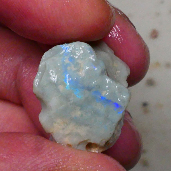 Lightning Ridge Knobby opal formation rough 20.00cts Bright Vertical bar carrying blue hues to gamble 21x19x15mm Lot B4-A577