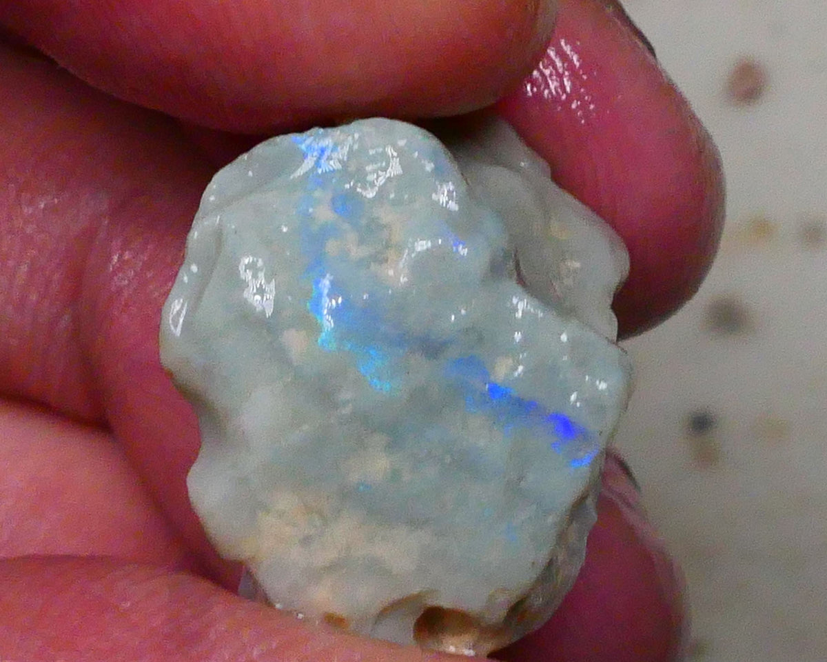 Lightning Ridge Knobby opal formation rough 20.00cts Bright Vertical bar carrying blue hues to gamble 21x19x15mm Lot B4-A577