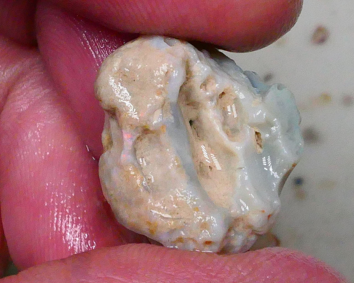 Lightning Ridge Knobby opal formation rough 20.00cts Bright Vertical bar carrying blue hues to gamble 21x19x15mm Lot B4-A577