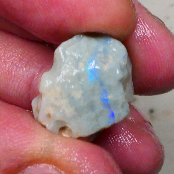 Lightning Ridge Knobby opal formation rough 20.00cts Bright Vertical bar carrying blue hues to gamble 21x19x15mm Lot B4-A577