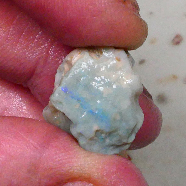 Lightning Ridge Knobby opal formation rough 20.00cts Bright Vertical bar carrying blue hues to gamble 21x19x15mm Lot B4-A577