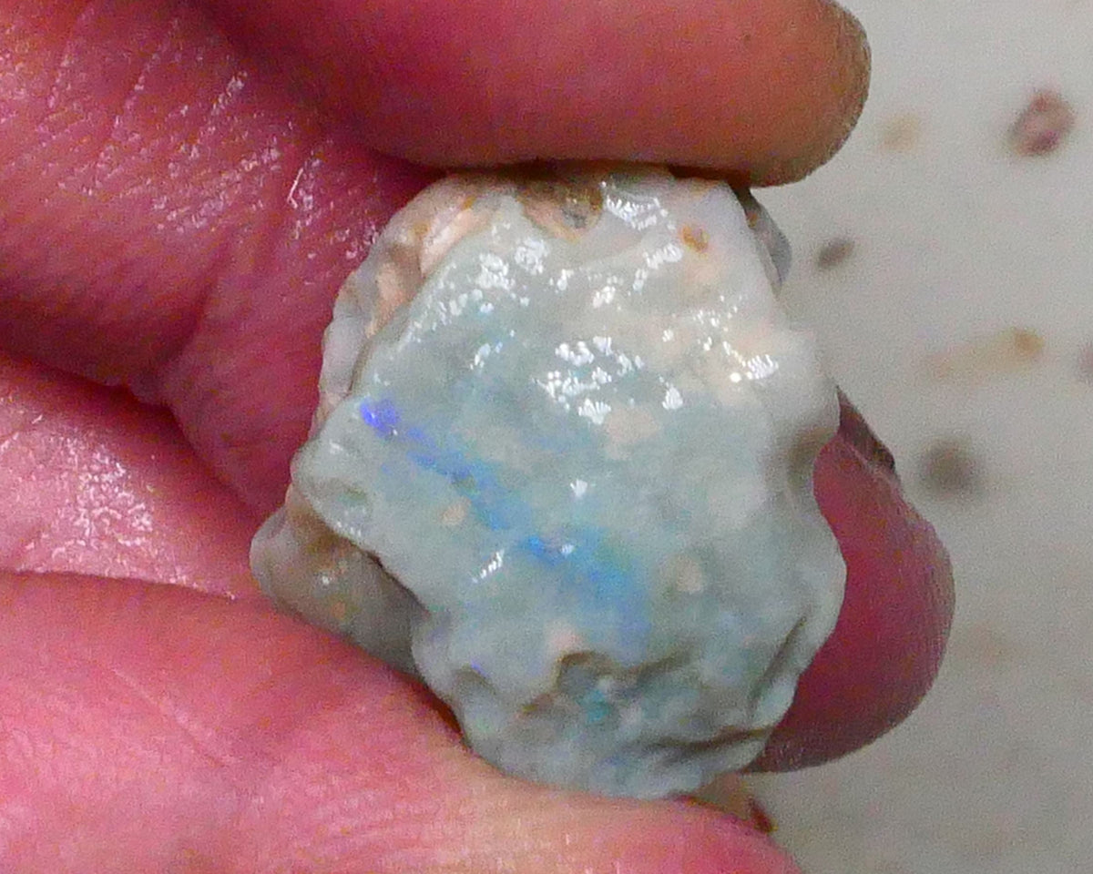 Lightning Ridge Knobby opal formation rough 20.00cts Bright Vertical bar carrying blue hues to gamble 21x19x15mm Lot B4-A577