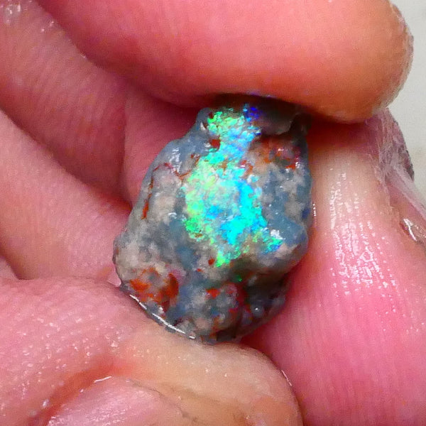 Vibrant Green & teal hues on this Pea Knobby rough opal 4.75cts Lightning Ridge 15x9x6mm  Lot B4-A576