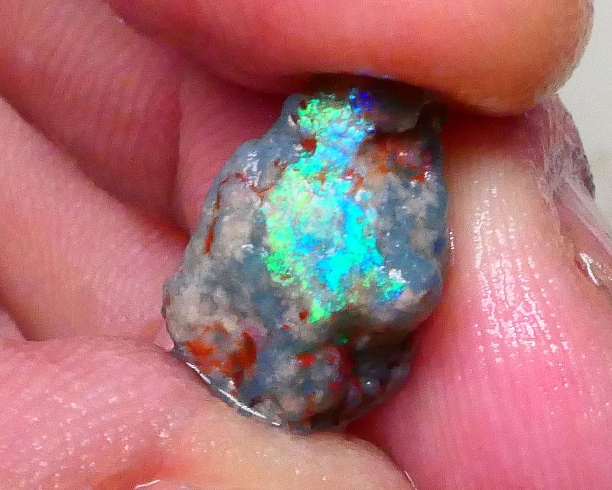 Vibrant Green & teal hues on this Pea Knobby rough opal 4.75cts Lightning Ridge 15x9x6mm  Lot B4-A576