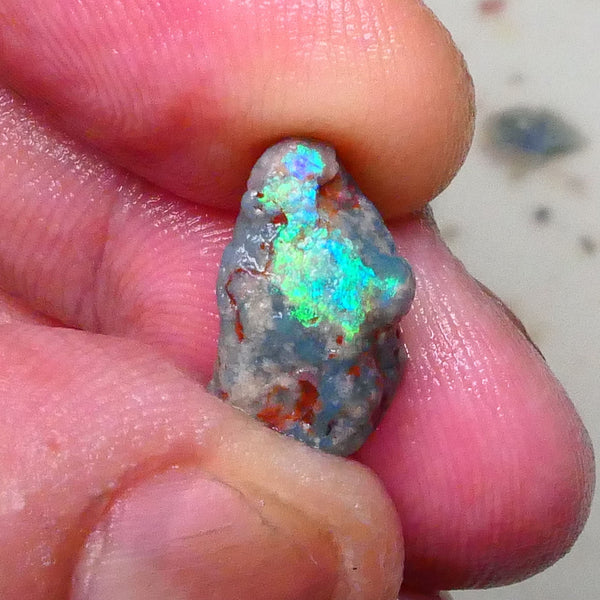 Vibrant Green & teal hues on this Pea Knobby rough opal 4.75cts Lightning Ridge 15x9x6mm  Lot B4-A576