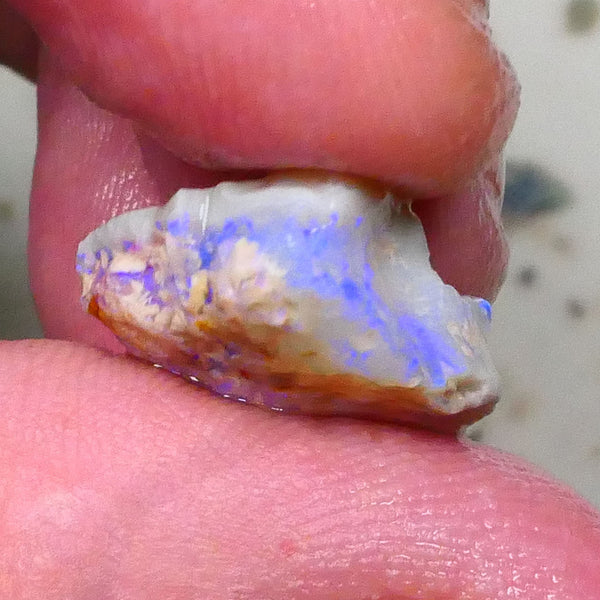 Knobby opal formation of Lightning ridge 10.00cts Lots of Light Blue colours chase & Gamble 17x16x9mm  Lot B4-A575