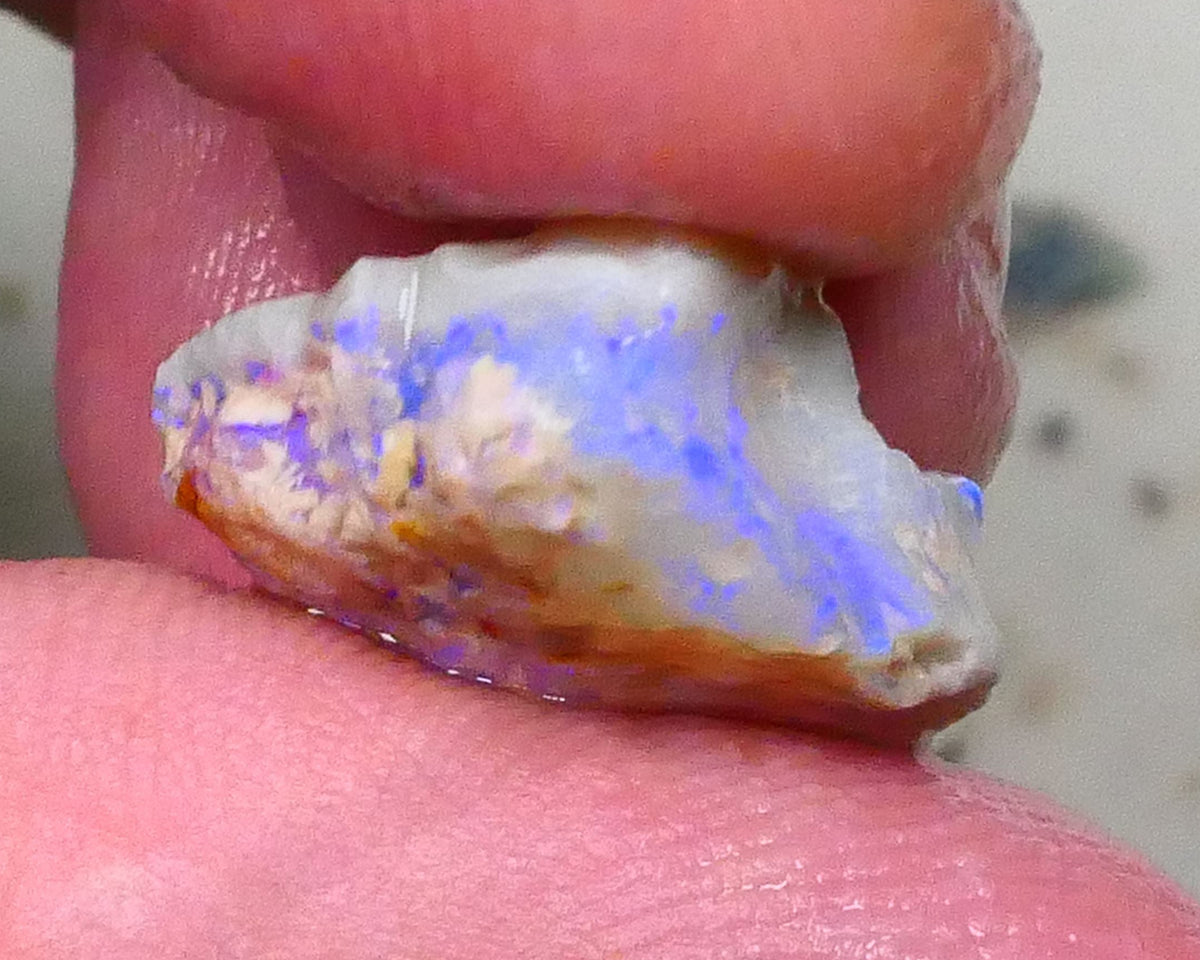 Knobby opal formation of Lightning ridge 10.00cts Lots of Light Blue colours chase & Gamble 17x16x9mm  Lot B4-A575