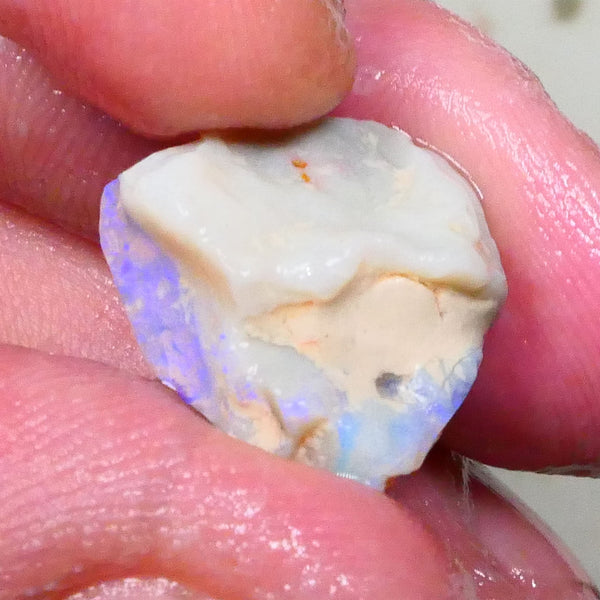 Knobby opal formation of Lightning ridge 10.00cts Lots of Light Blue colours chase & Gamble 17x16x9mm  Lot B4-A575