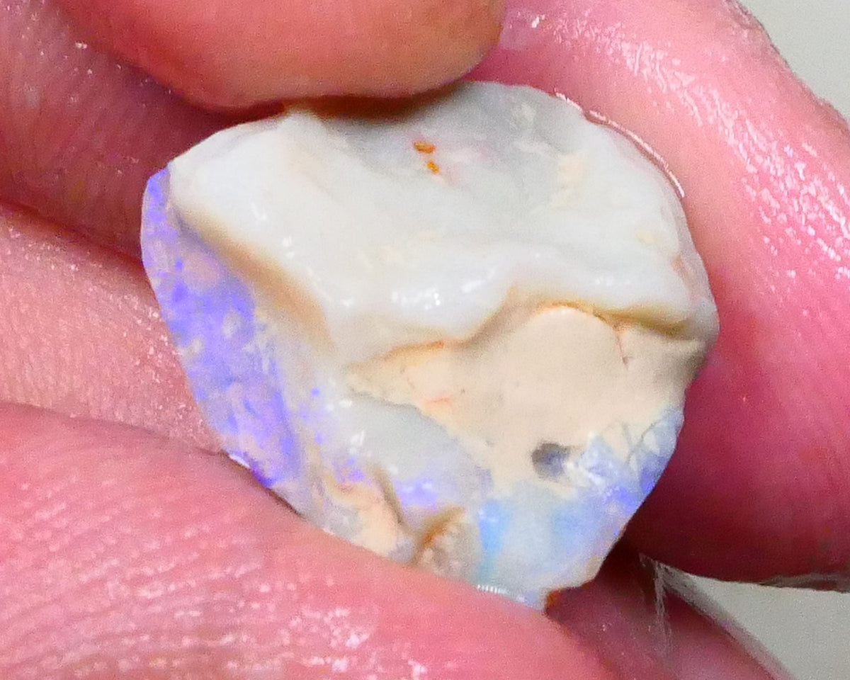 Knobby opal formation of Lightning ridge 10.00cts Lots of Light Blue colours chase & Gamble 17x16x9mm  Lot B4-A575