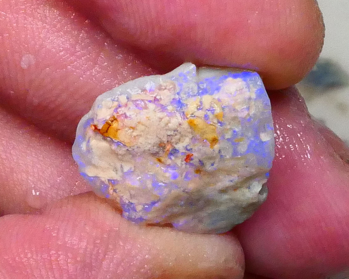 Knobby opal formation of Lightning ridge 10.00cts Lots of Light Blue colours chase & Gamble 17x16x9mm  Lot B4-A575