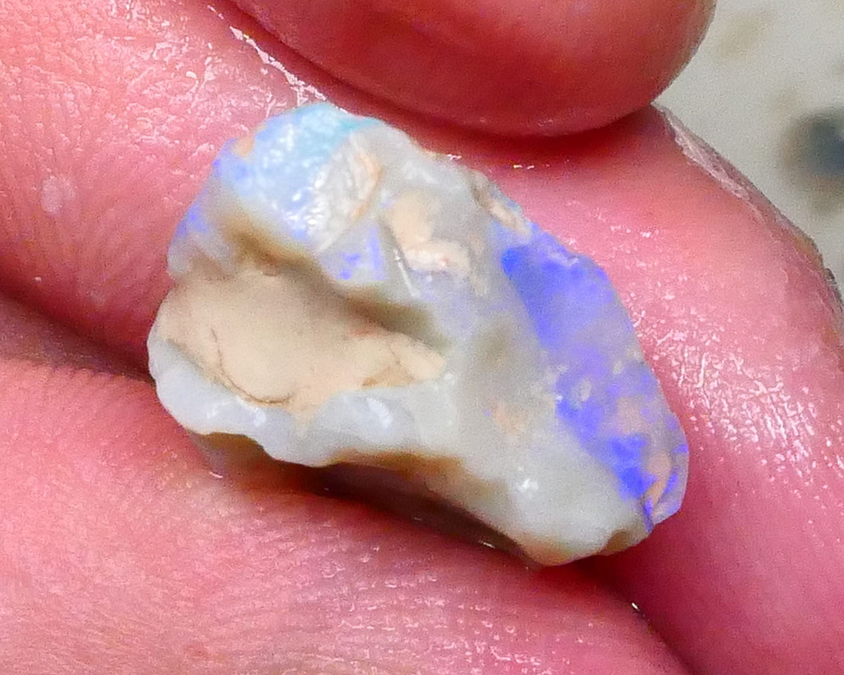 Knobby opal formation of Lightning ridge 10.00cts Lots of Light Blue colours chase & Gamble 17x16x9mm  Lot B4-A575