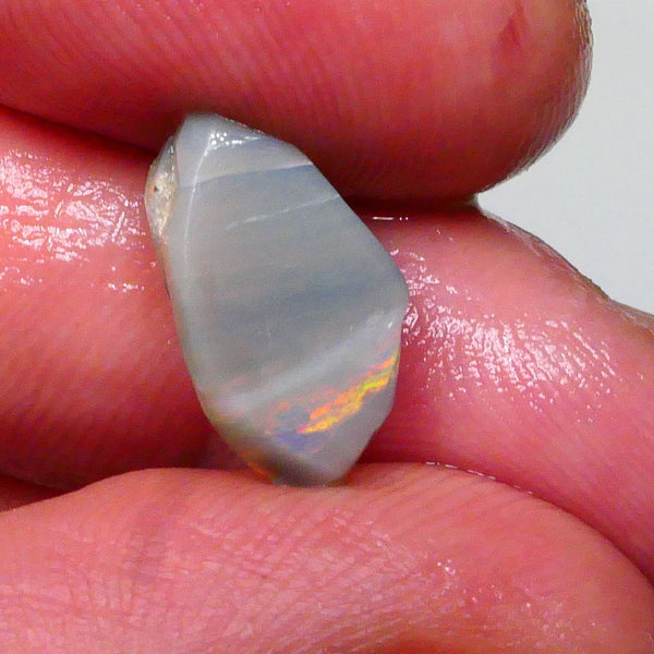 Red & Yellow Green & blue I can see a rainbow 3.20cts Lightning Knobby opal rub rough 15x9x4mm Lot B4-A596