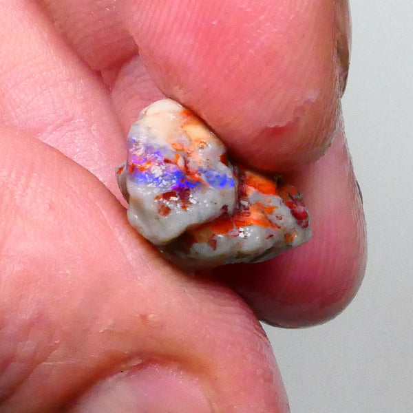 Lightning Ridge Knobby opal rough 8.90cts Band of Blue fires to chase & explore 18x13x9mm  Lot B4-A592