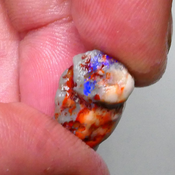 Lightning Ridge Knobby opal rough 8.90cts Band of Blue fires to chase & explore 18x13x9mm  Lot B4-A592