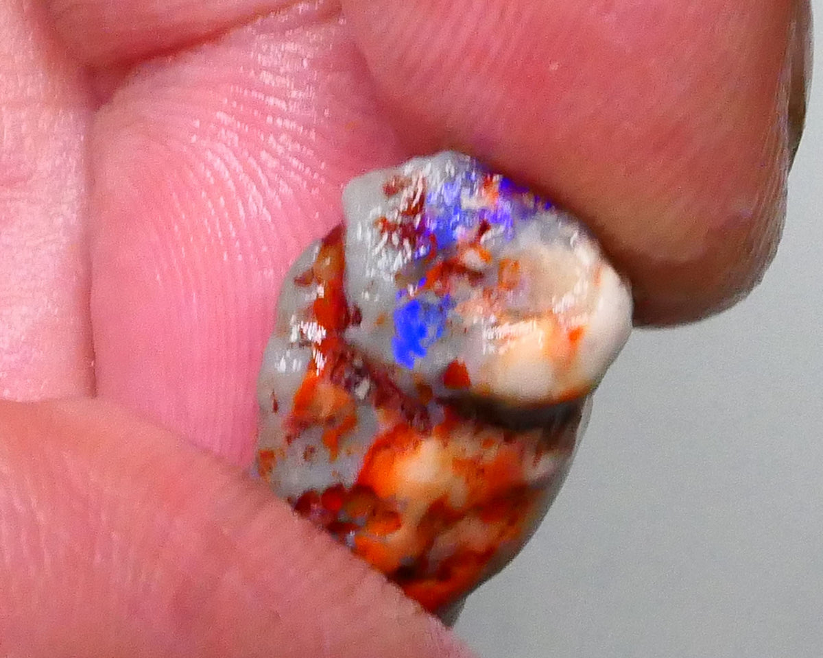 Lightning Ridge Knobby opal rough 8.90cts Band of Blue fires to chase & explore 18x13x9mm  Lot B4-A592