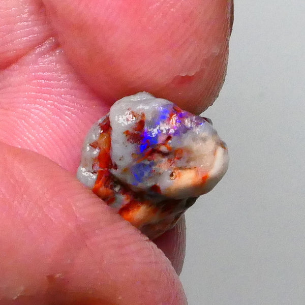Lightning Ridge Knobby opal rough 8.90cts Band of Blue fires to chase & explore 18x13x9mm  Lot B4-A592