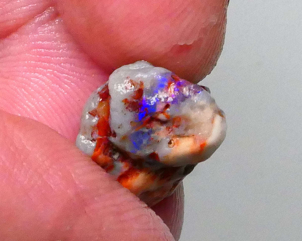 Lightning Ridge Knobby opal rough 8.90cts Band of Blue fires to chase & explore 18x13x9mm  Lot B4-A592