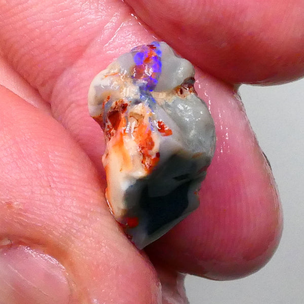 Lightning Ridge Knobby opal rough 8.90cts Band of Blue fires to chase & explore 18x13x9mm  Lot B4-A592
