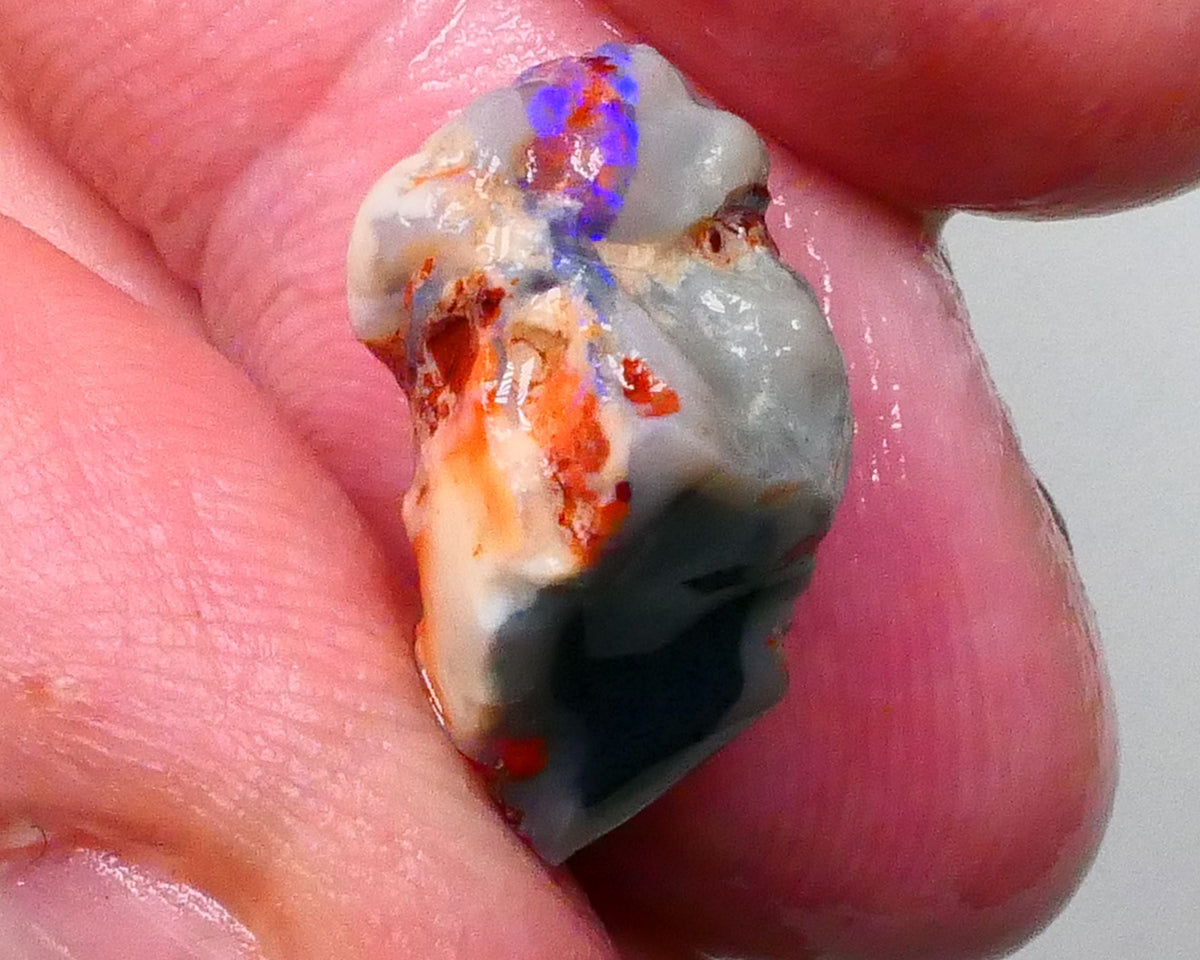 Lightning Ridge Knobby opal rough 8.90cts Band of Blue fires to chase & explore 18x13x9mm  Lot B4-A592
