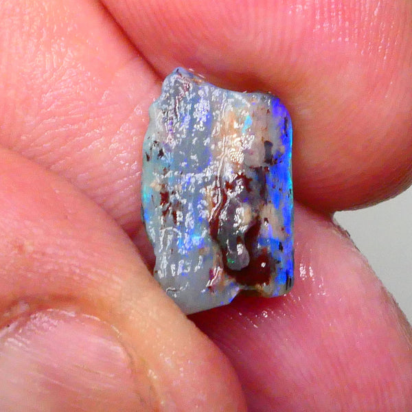 Opalised Wood Fossil opal rough of Lighting Ridge 3.00cts Stunning Bright Hues of blues & greens Cutter to gamble ? 15x9x3Lot B4-A591