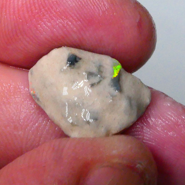 Knobby opal formation rough 6.25cts Lightning Ridge Bit of Bright Green Fires presenting externally but what's inside? 19x13x7mm   Lot B4-A590
