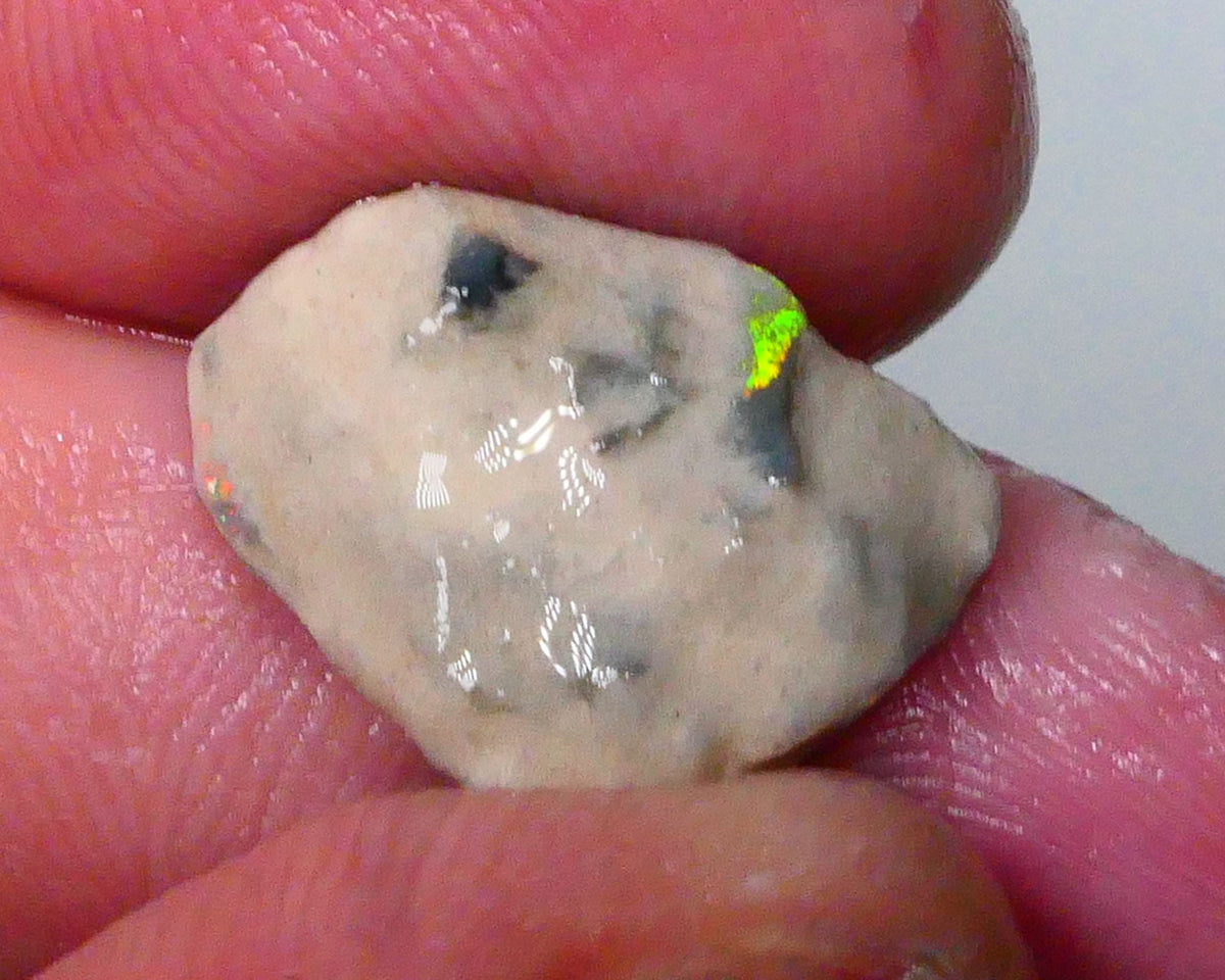 Knobby opal formation rough 6.25cts Lightning Ridge Bit of Bright Green Fires presenting externally but what's inside? 19x13x7mm   Lot B4-A590